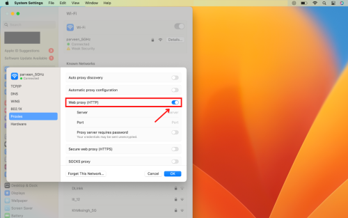 Web proxy settings enabled on Mac system preferences.